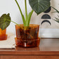 Glass Pot with Saucer Set of 4 By Accent Decor | Planters, Troughs & Cachepots | Modishstore - 9