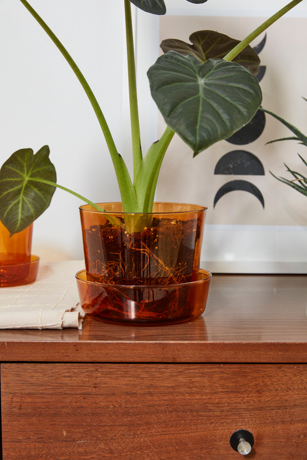 Glass Pot with Saucer Set of 4 By Accent Decor | Planters, Troughs & Cachepots | Modishstore - 9