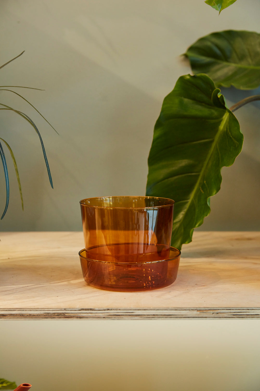 Glass Pot with Saucer Set of 4 By Accent Decor | Planters, Troughs & Cachepots | Modishstore - 10