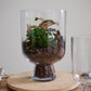 Reservoir Terrarium Set of 2 By Accent Decor | Stands | Modishstore - 6