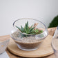 Dynamic Terrarium Set of 2 By Accent Decor | Stands | Modishstore - 4