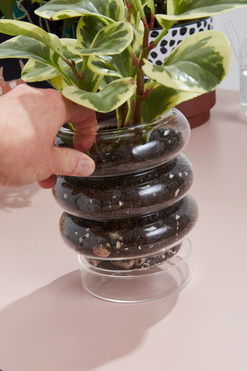 Stacked Rings Glass Pot with Saucer Set of 2 By Accent Decor | Planters, Troughs & Cachepots | Modishstore - 6