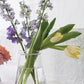 Oslo Vase Set of 8 By Accent Decor | Vases | Modishstore - 10