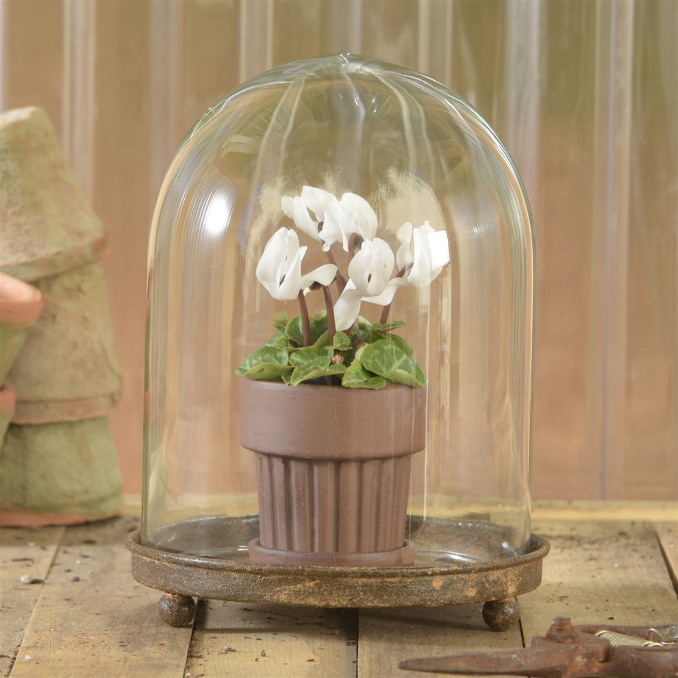 Mirabelle Vitrine, Glass & Metal Set Of 4 By HomArt | Ornaments | Modishstore - 3