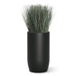 Grass: Cortada Grass in Barrel Planter MD, Black Satin By Gold Leaf | Planters, Troughs & Cachepots | Modishstore - 1