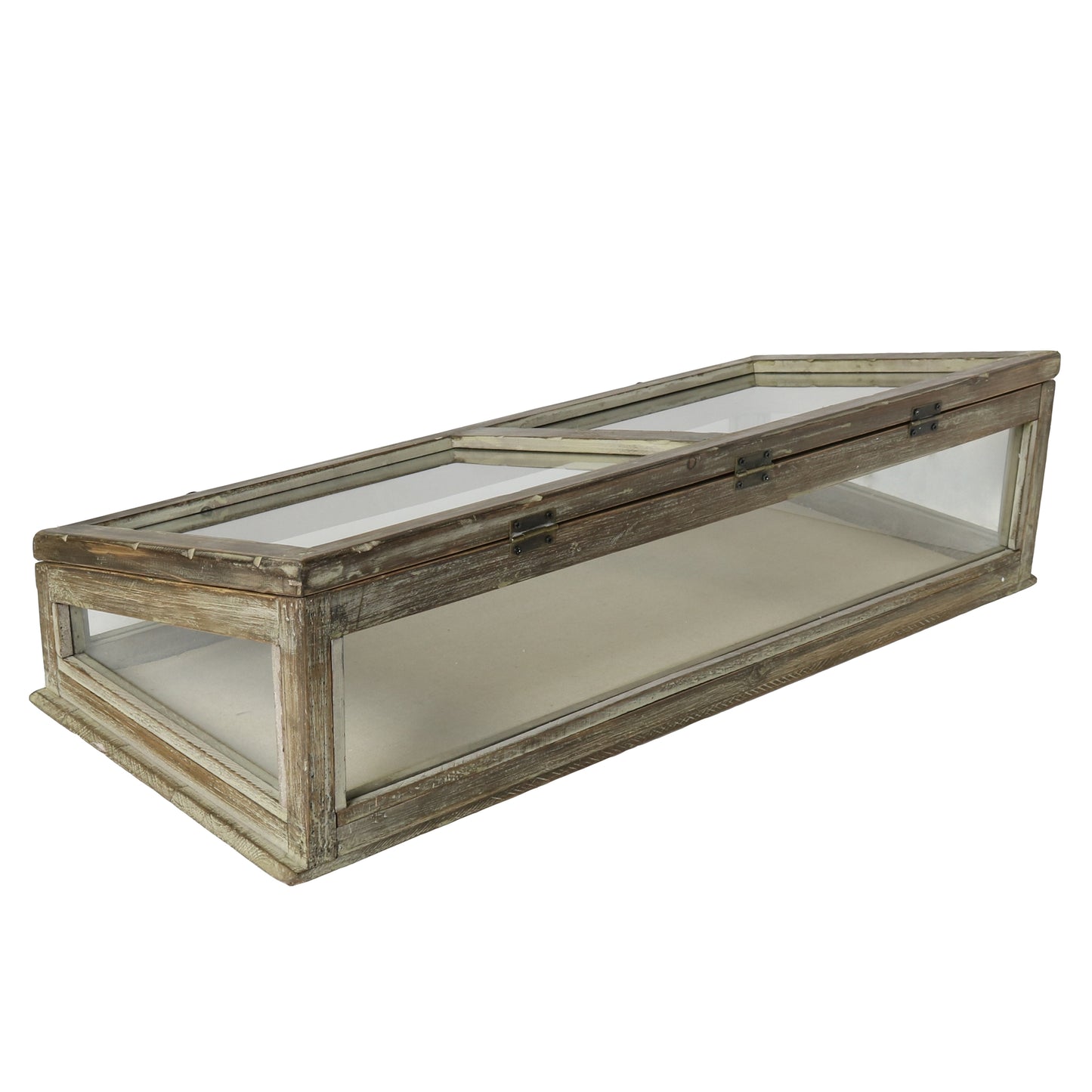 Jennings Display Case By HomArt | Display Cases | Modishstore - 3