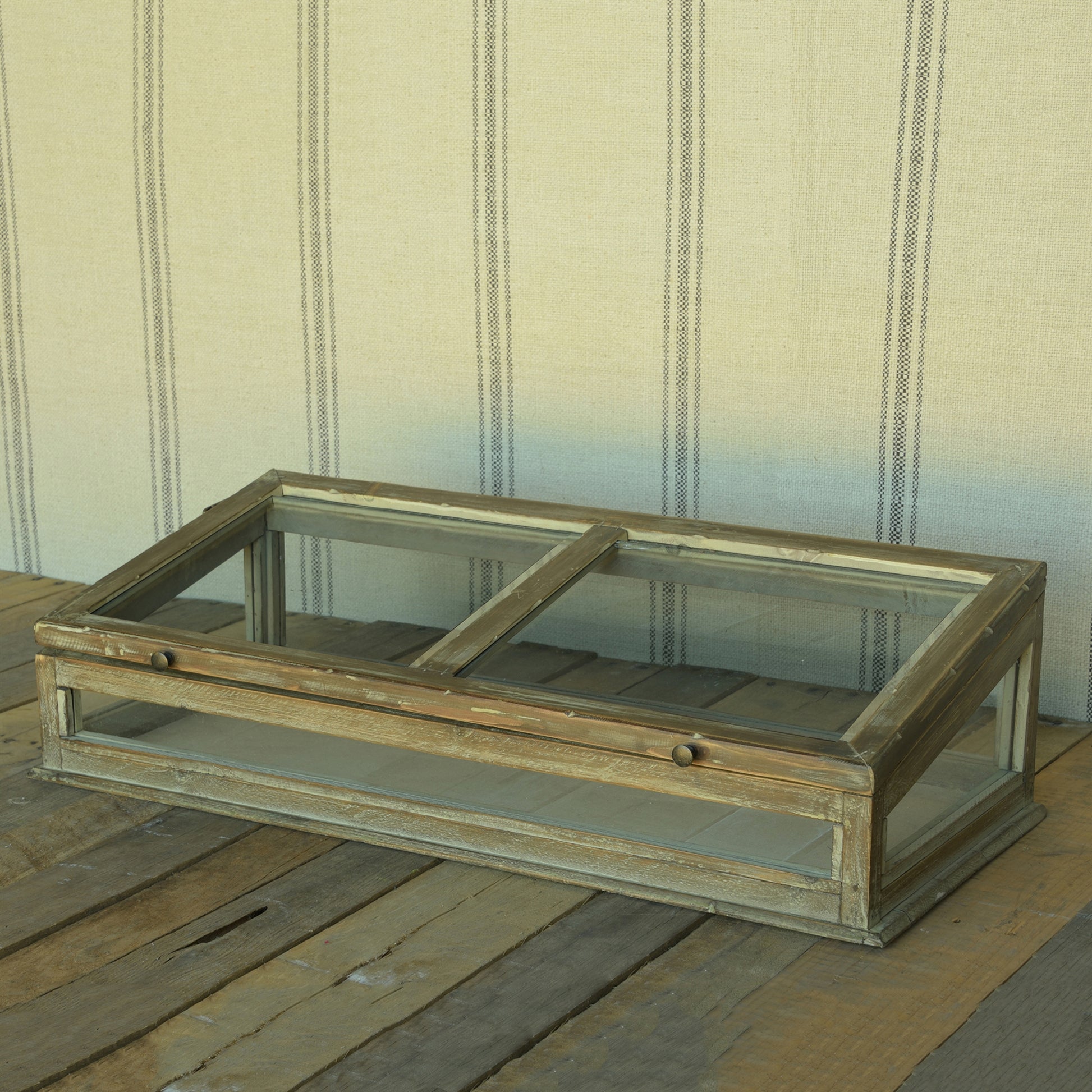 Jennings Display Case By HomArt | Display Cases | Modishstore - 1