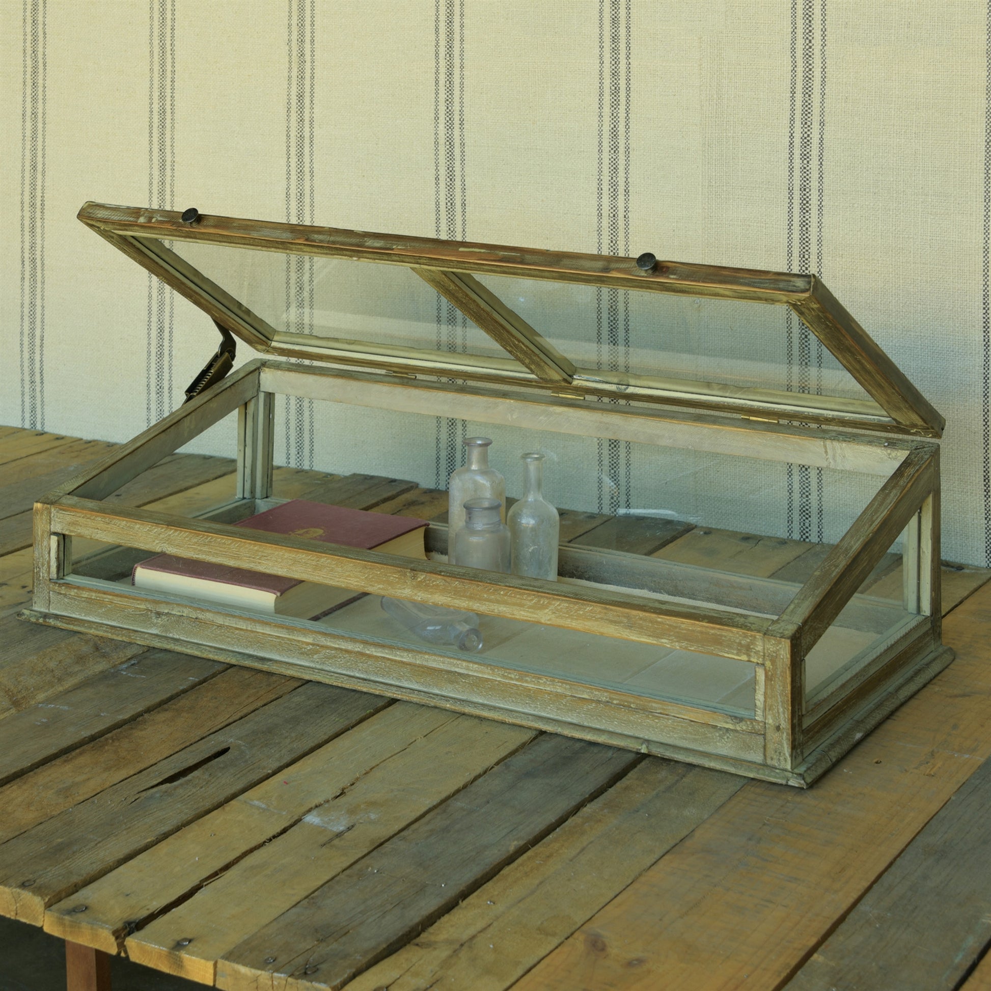 Jennings Display Case By HomArt | Display Cases | Modishstore - 2