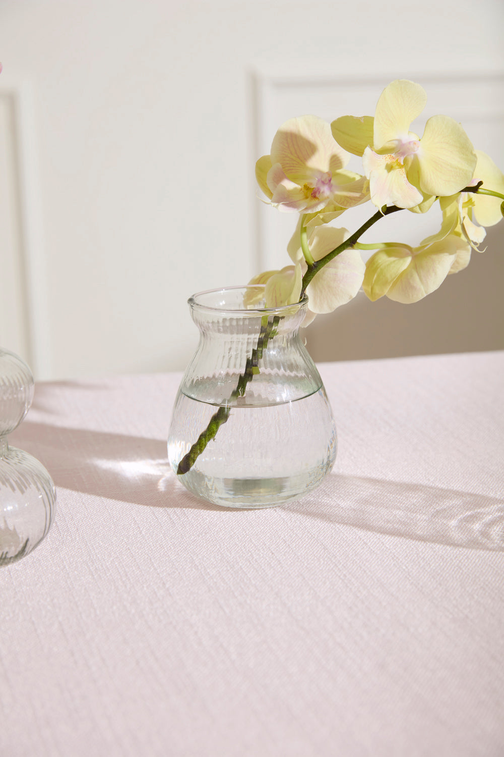 Jaden Budvase Set of 8 By Accent Decor | Vases | Modishstore - 16