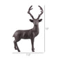 Stag, Cast Iron - Brown Set Of 4 By HomArt | Ornaments | Modishstore - 3