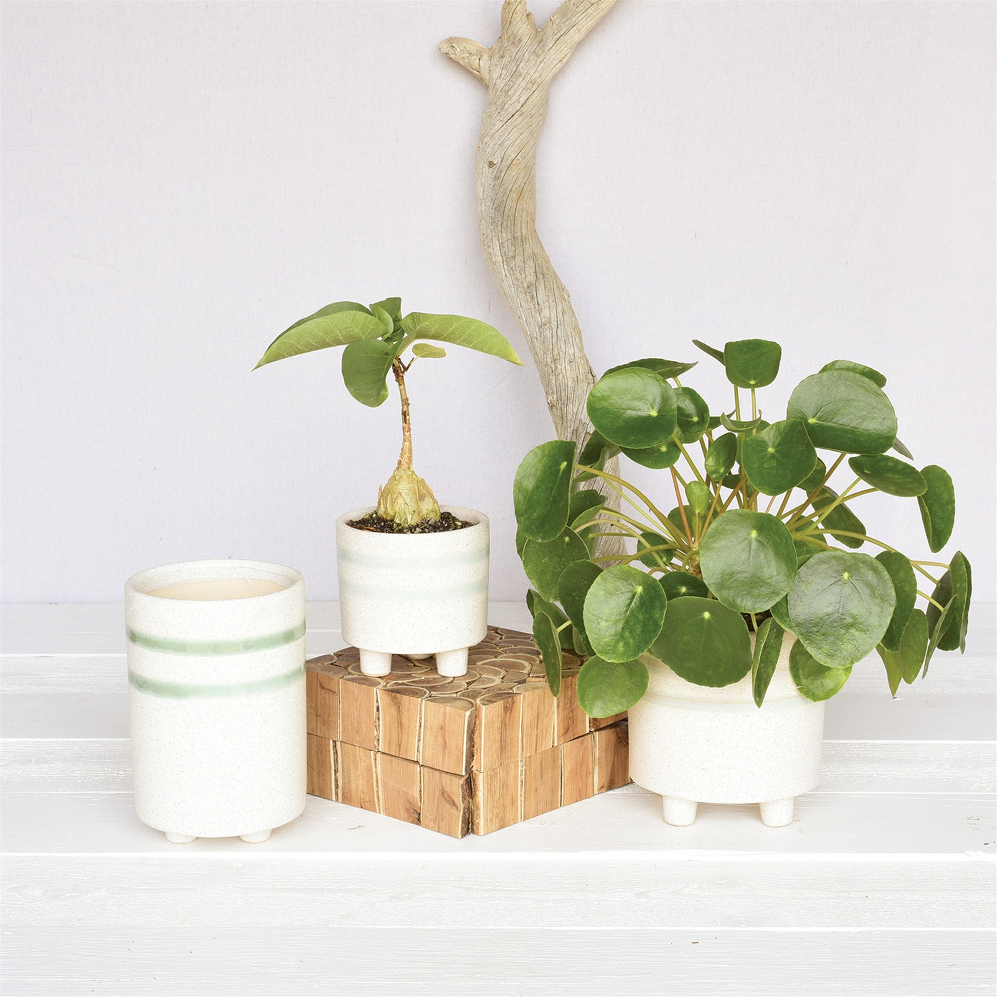 Fluorite Cachepot, Ceramic - Large - White, Teal Set Of 4 By HomArt | Planters, Troughs & Cachepots | Modishstore - 3