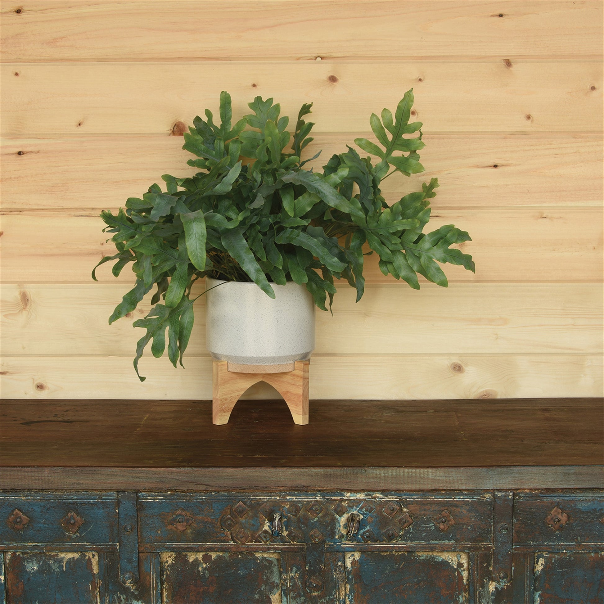 Ames Cachepot, Ceramic with Wood - Large - White, Natural Set Of 4 By HomArt | Planters, Troughs & Cachepots | Modishstore