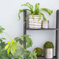 4 Step Blackwash Rustic Wood Ladder Shelf By Homeroots | Wall Decor | Modishstore - 5