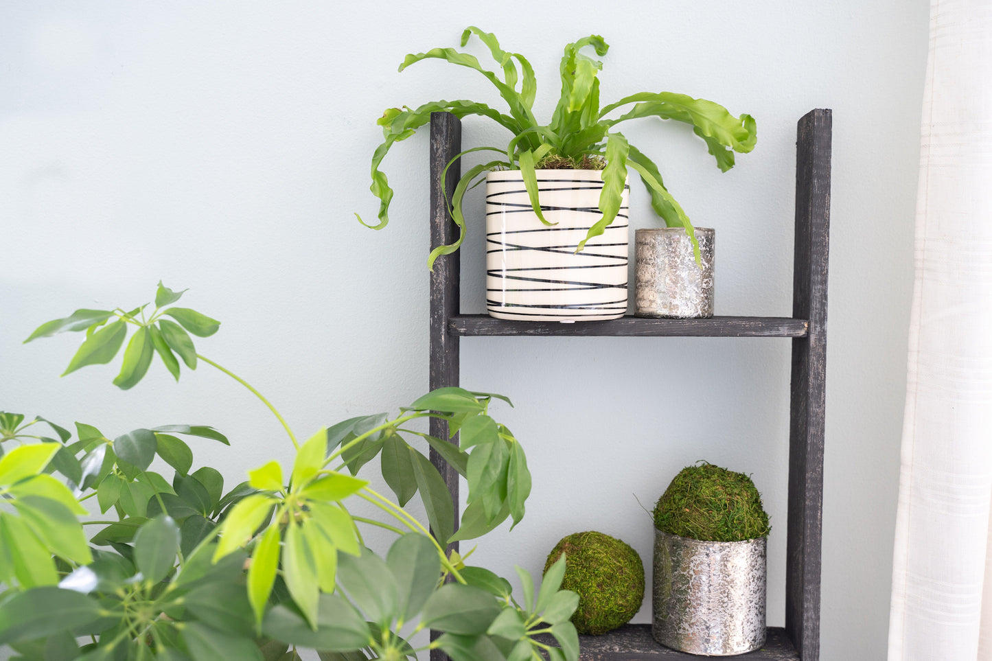 4 Step Blackwash Rustic Wood Ladder Shelf By Homeroots | Wall Decor | Modishstore - 5