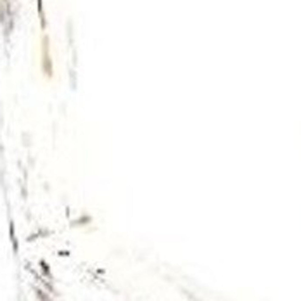 4 Step Rustic White Wood Ladder Shelf By Homeroots | Wall Decor | Modishstore - 4