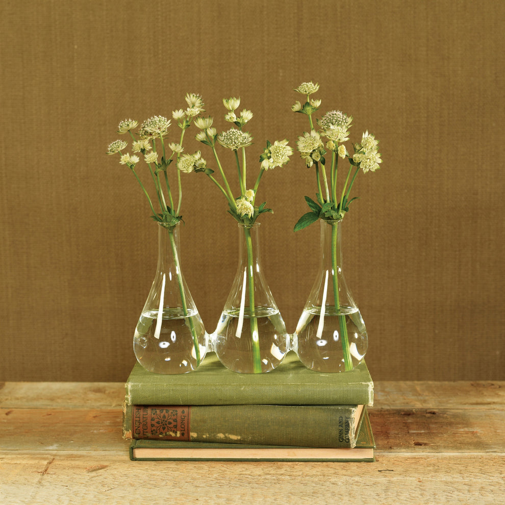 Trio Glass Vase Set Of 4 By HomArt | Vases | Modishstore - 2
