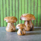 Teak Mushroom Stools By Garden Age Supply