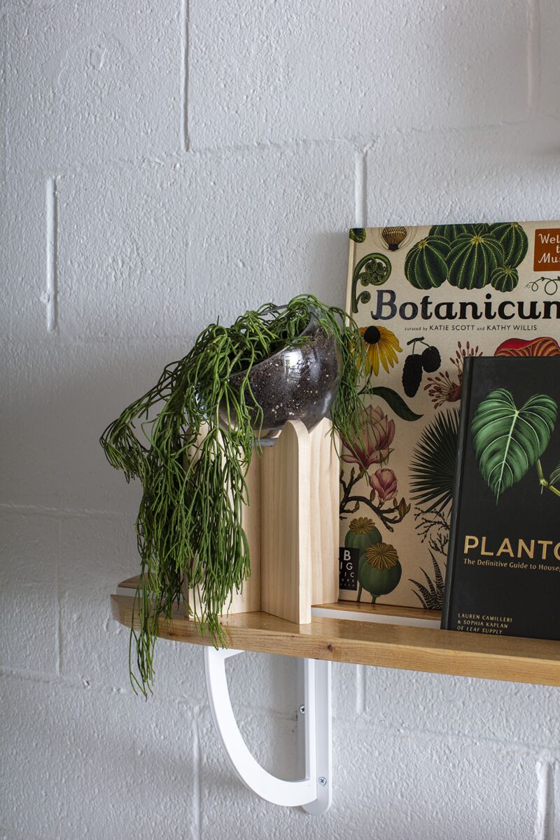 Gazer Terrarium 5.5"x 12" By Accent Decor | Planters, Troughs & Cachepots | Modishstore - 2