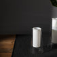 Curie Vase Set of 2 By Accent Decor | Vases | Modishstore - 6