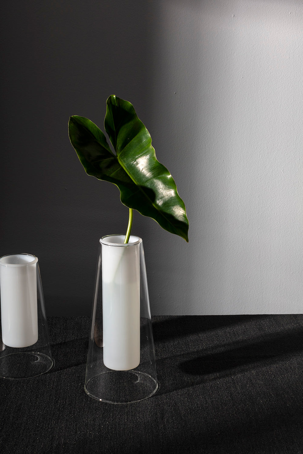 Curie Vase Set of 2 By Accent Decor | Vases | Modishstore - 8