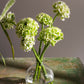 Chim Budvase Set of 8 By Accent DŽcor