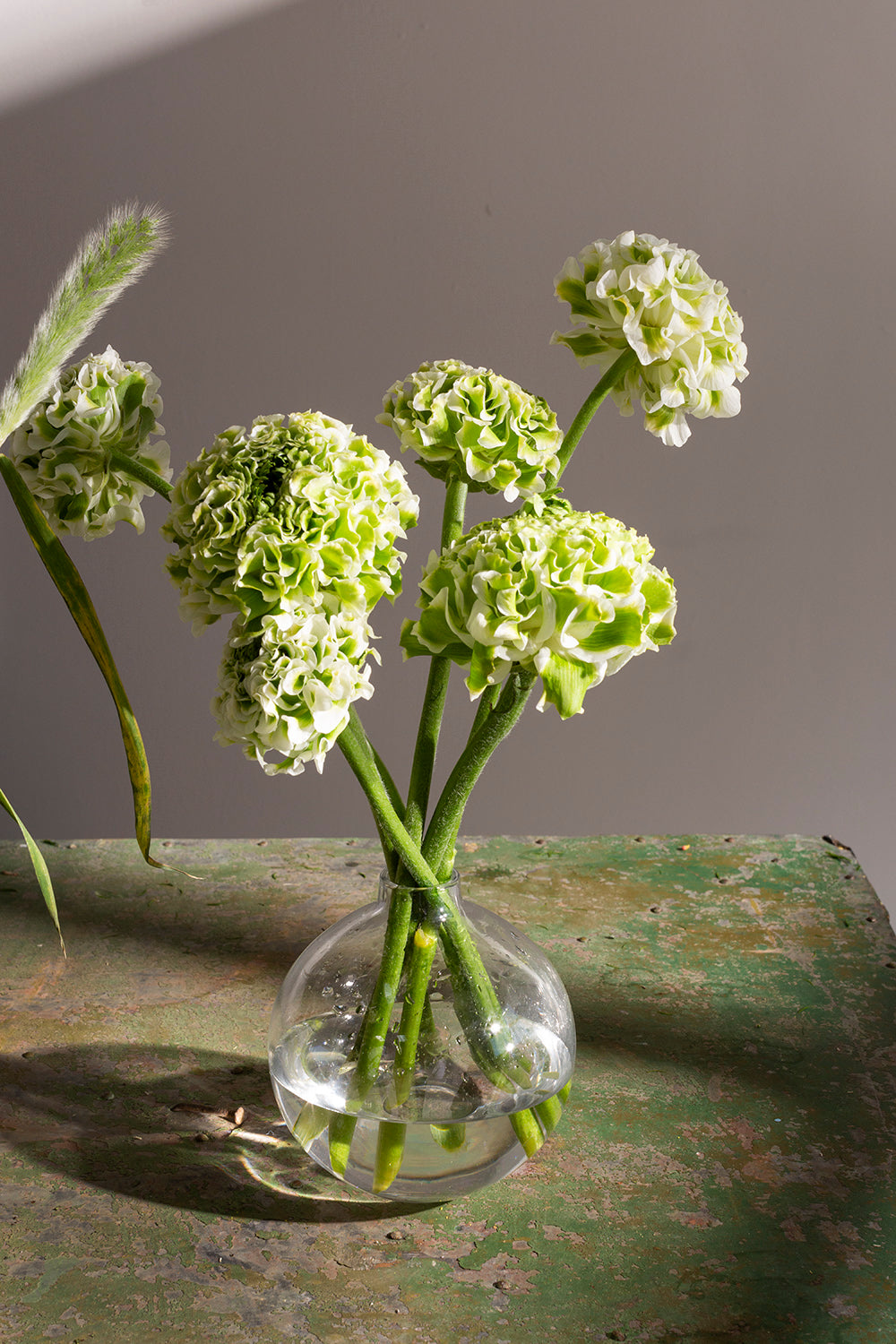 Chim Budvase Set of 8 By Accent DŽcor
