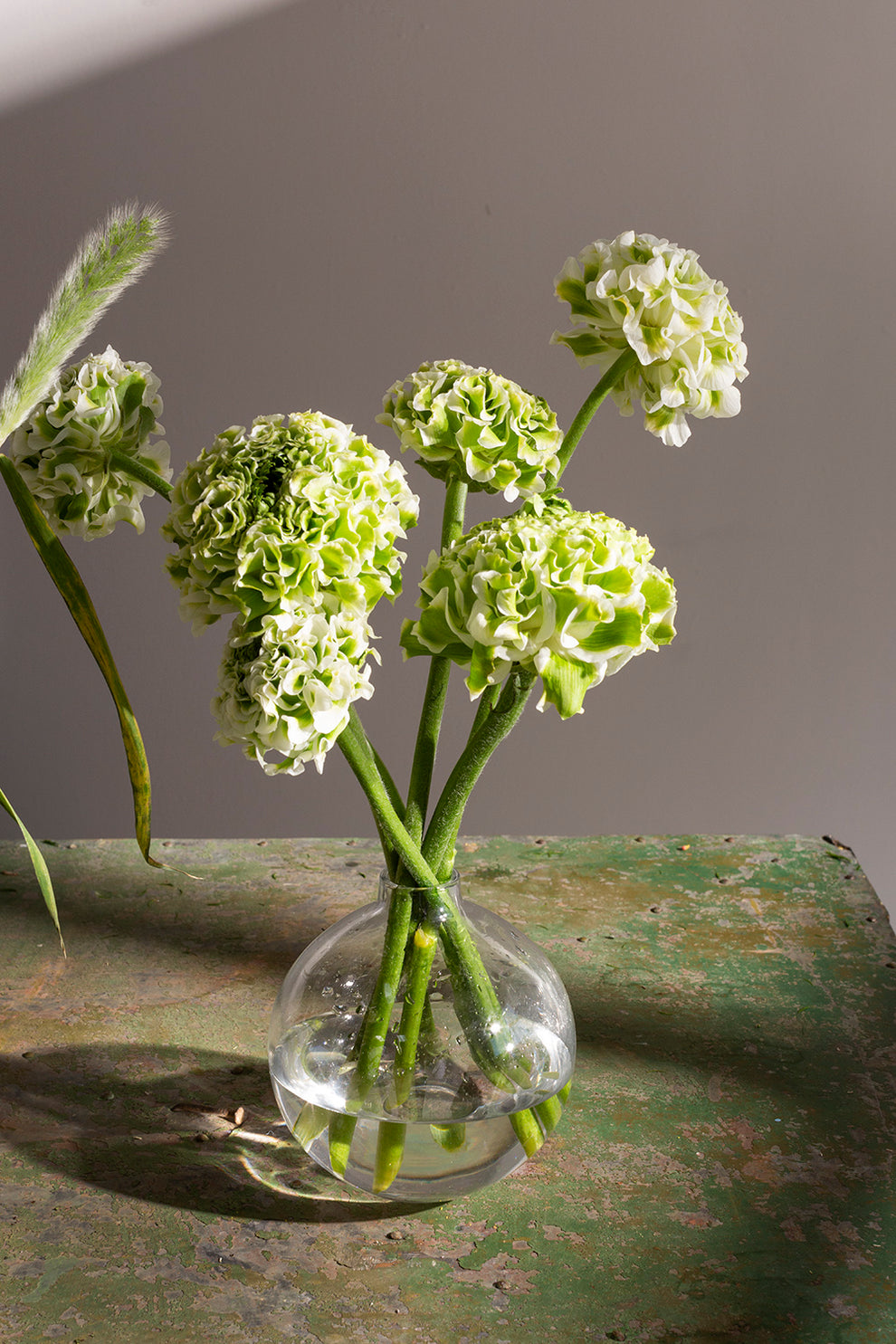 Chim Budvase Set of 8 By Accent Decor | Vases | Modishstore - 10