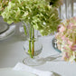 Queensland Budvase Set of 8 By Accent Decor | Vases | Modishstore - 8