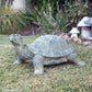 Garden Turtle By Garden Age Supply