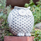 Puffy Owl Set of 2 By Garden Age Supply