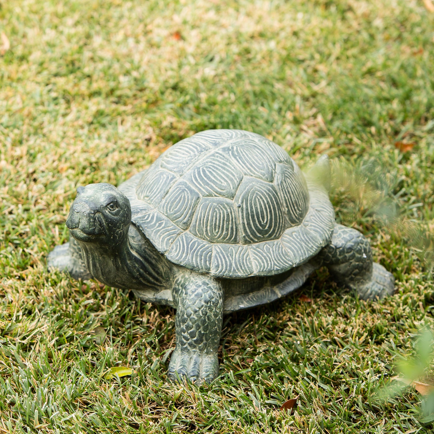 Baby Garden Turtle Set of 2 By Garden Age Supply