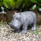 Baby Hippo Set of 2 By Garden Age Supply