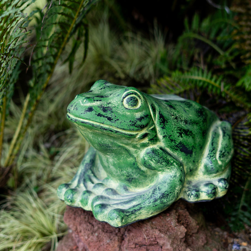 Green Frog Set of 2 By Garden Age Supply | Sculptures | Modishstore - 2