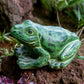 Green Frog Set of 2 By Garden Age Supply