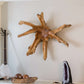 Teak Root Wall Decor - Spider Set of 2 By Garden Age Supply