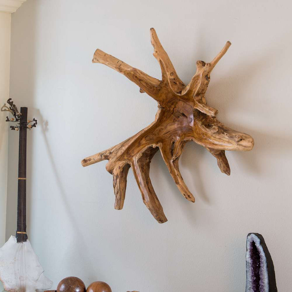 Teak Root Wall Decor - Spider Set of 2 By Garden Age Supply | Sculptures | Modishstore - 3