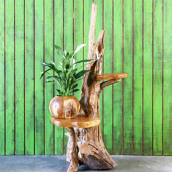 Harini Driftwood Stand with Teak Shelves By Garden Age Supply | Shelves & Shelving Units | Modishstore - 3