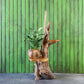Harini Driftwood Stand with Teak Shelves By Garden Age Supply