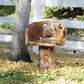 Lenong Teak Chair By Garden Age Supply