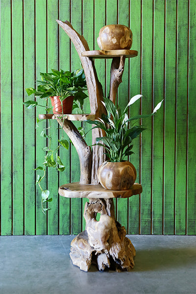 Harini Driftwood Stand with Teak Shelves By Garden Age Supply | Shelves & Shelving Units | Modishstore - 2