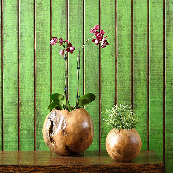 Habini Teak Ball Pots By Garden Age Supply | Sculptures | Modishstore - 1
