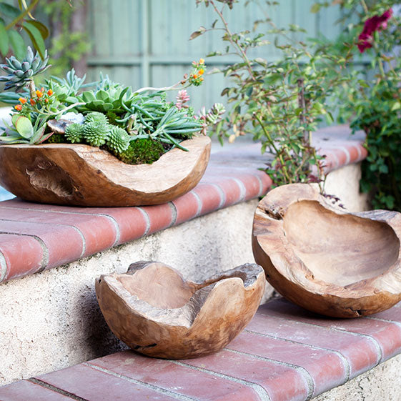 Habini Teak Bowls By Garden Age Supply | Decorative Bowls | Modishstore - 3