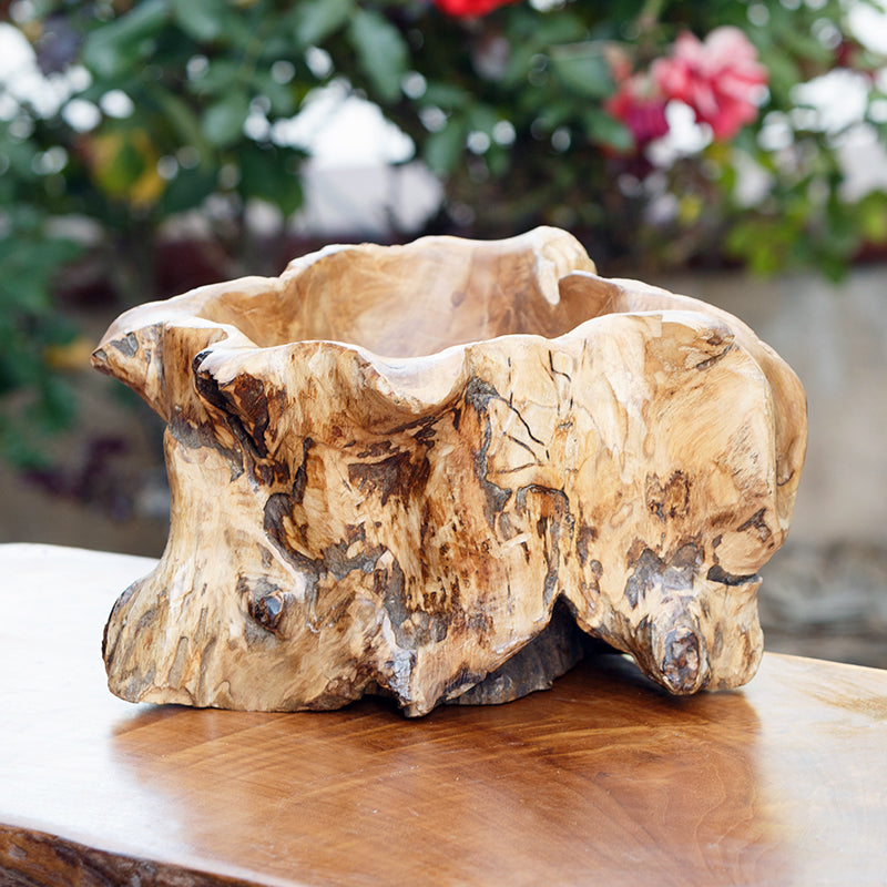 Habini Teak Erosion Bowls By Garden Age Supply | Decorative Bowls | Modishstore - 1