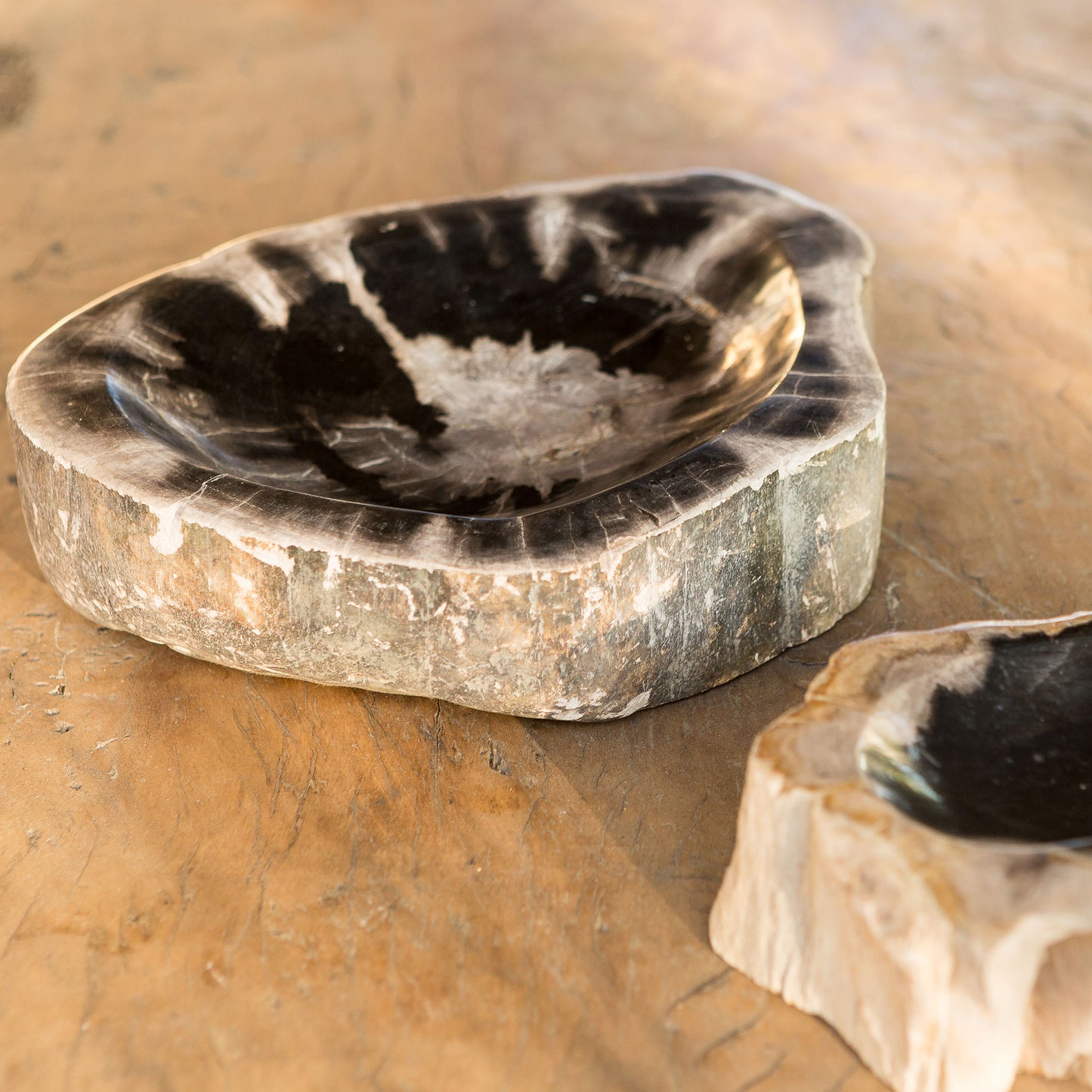 Petrified Wood Bowl Set of 2 By Garden Age Supply