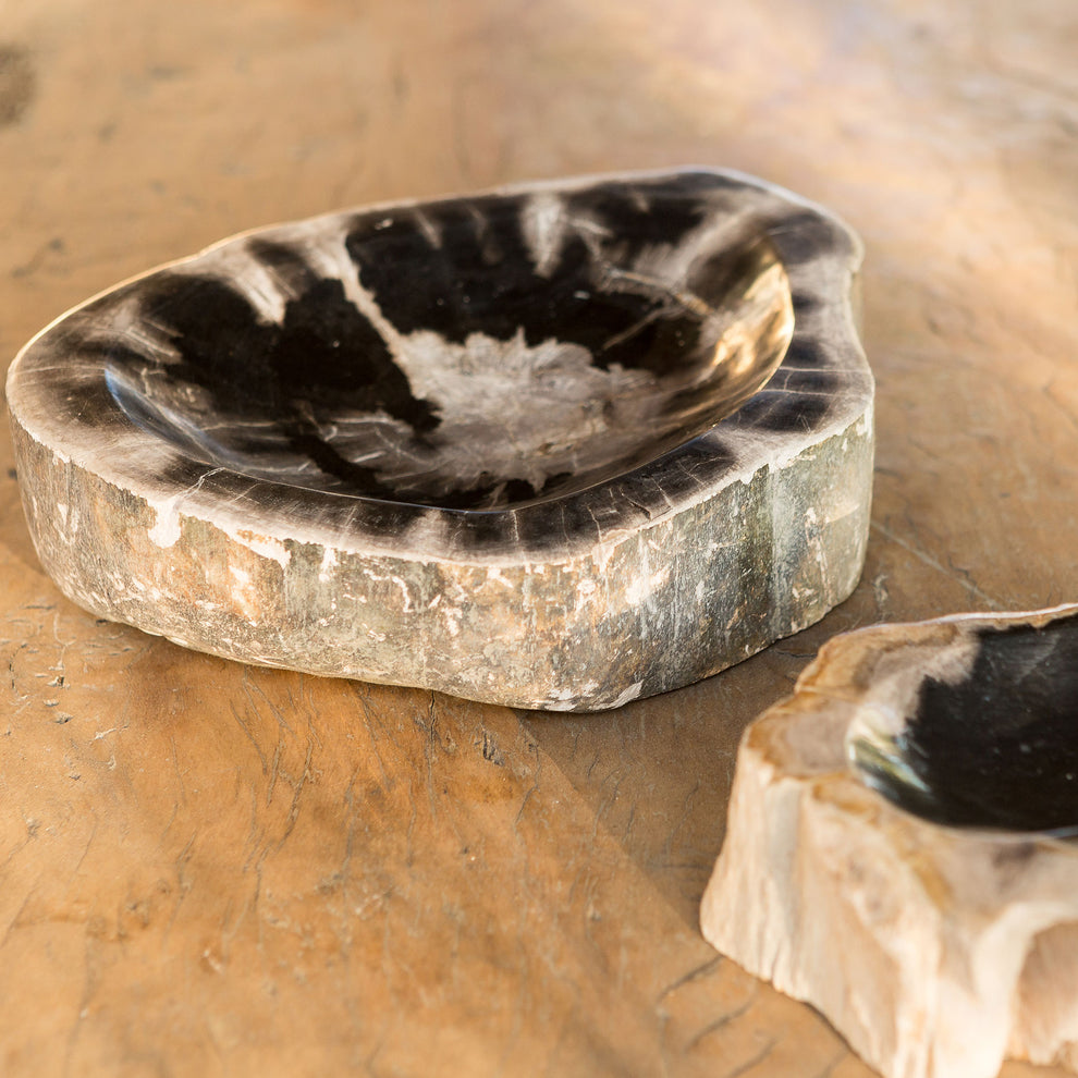 Petrified Wood Bowl Set of 2 By Garden Age Supply | Decorative Bowls | Modishstore - 2