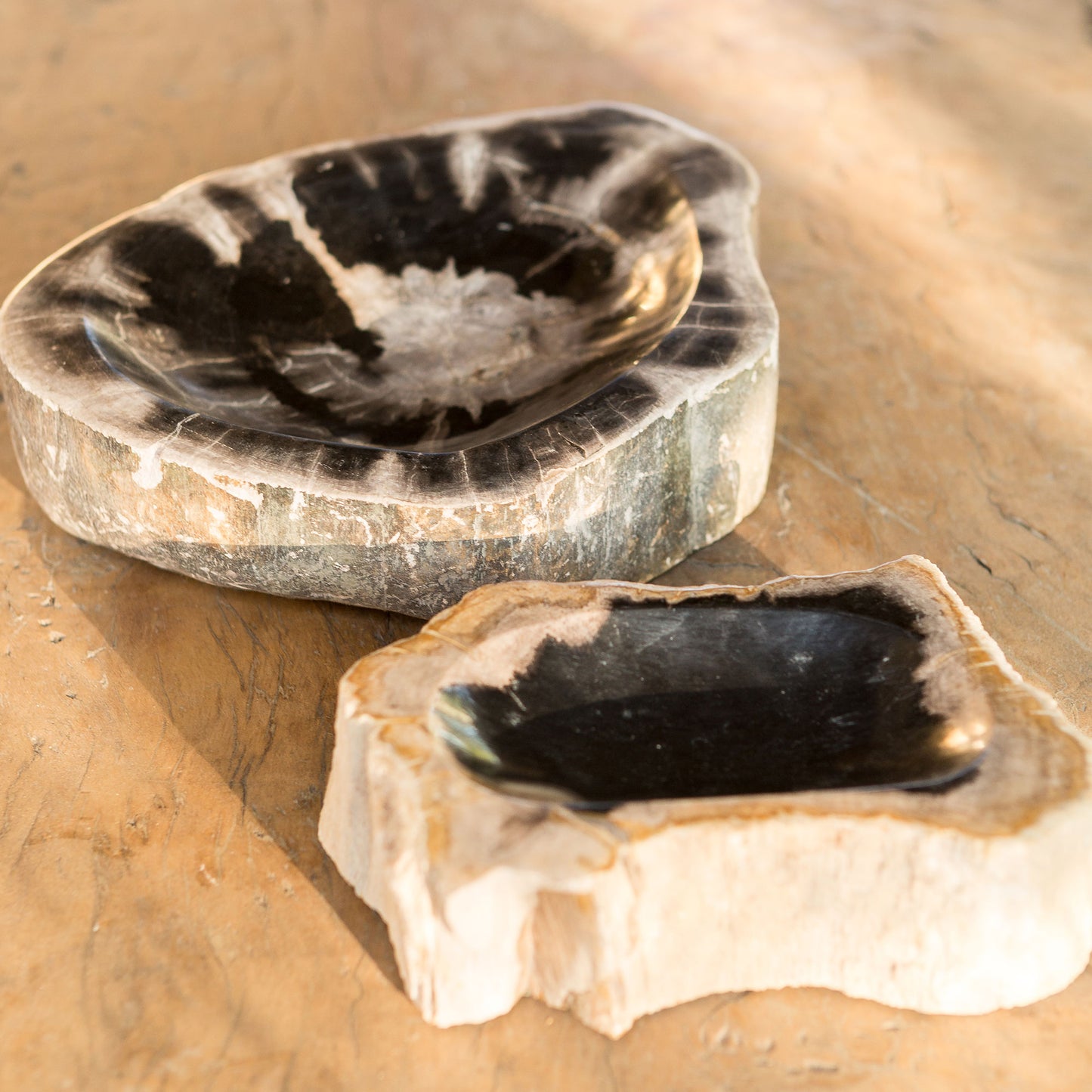 Petrified Wood Bowl Set of 2 By Garden Age Supply
