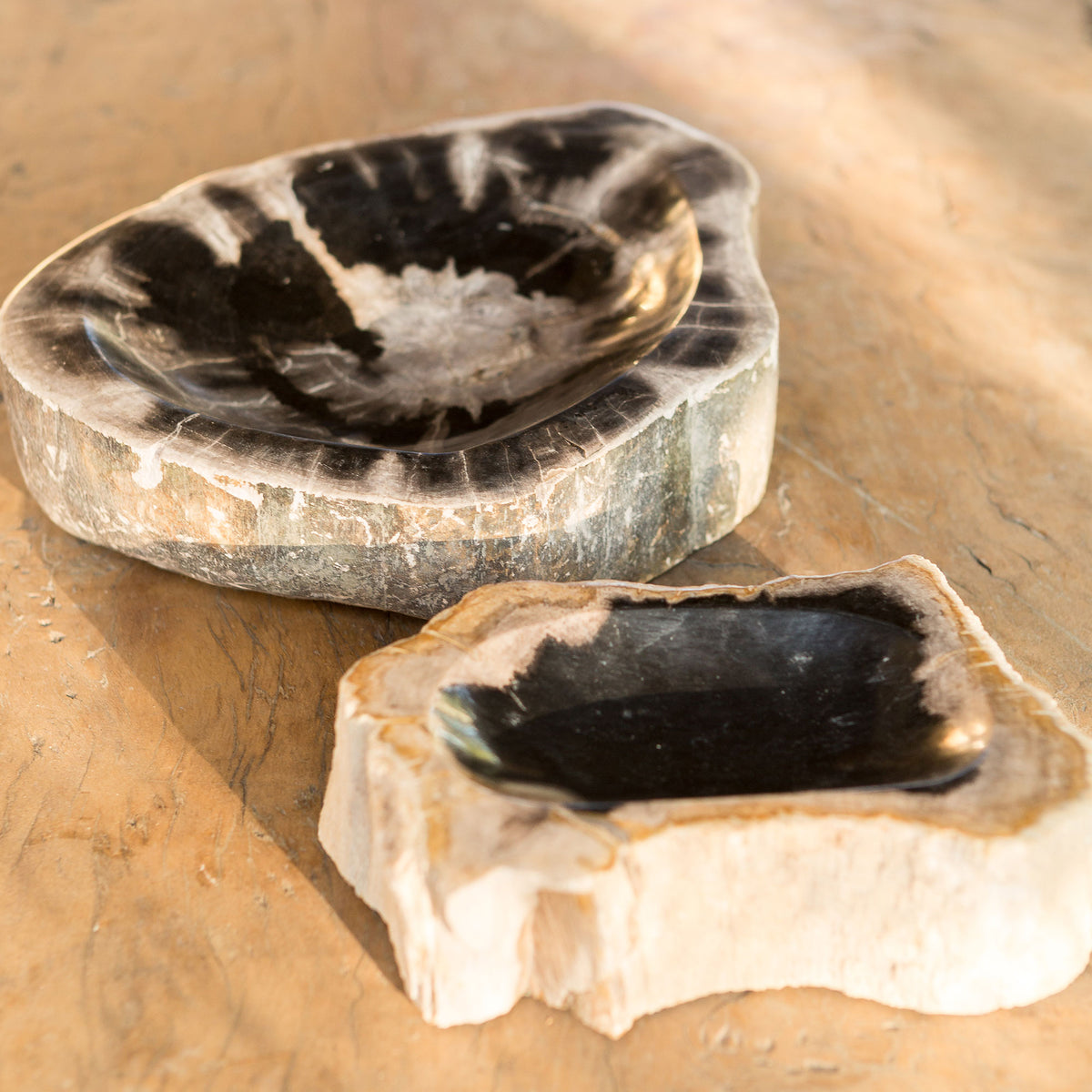 Petrified Wood Bowl Set of 2 By Garden Age Supply | Decorative Bowls | Modishstore - 1