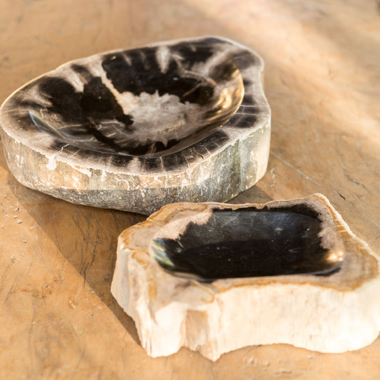Petrified Wood Bowl Set of 2 By Garden Age Supply | Decorative Bowls | Modishstore - 1