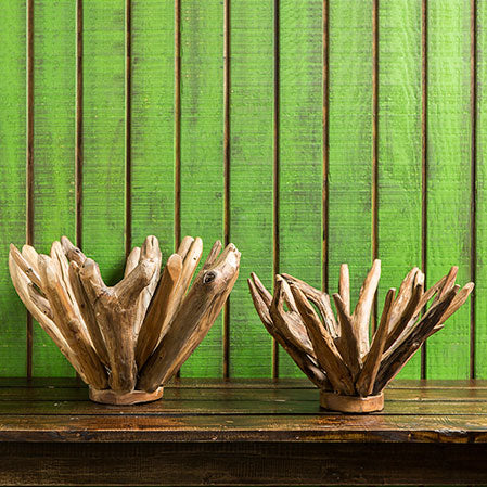 Harini Driftwood Branch Bowls By Garden Age Supply | Decorative Bowls | Modishstore - 4