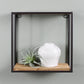 Milo Shelf, Wood & Metal - Sq, Small Set Of 4 By HomArt | Wall Shelf | Modishstore - 2